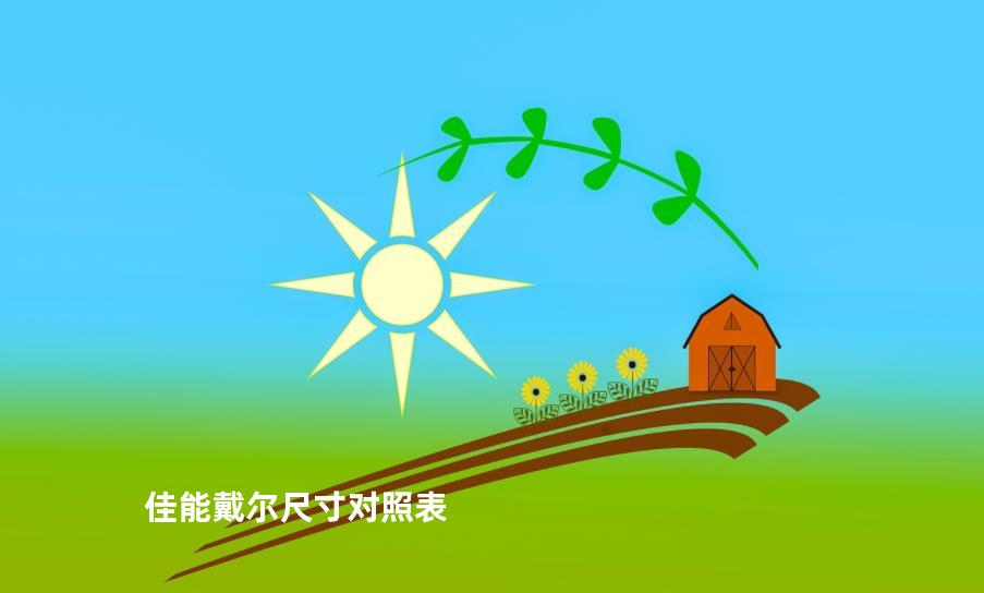 佳能戴尔尺寸对照表