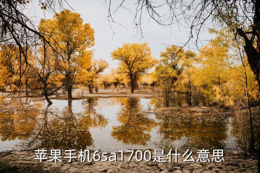 苹果手机6sa1700是什么意思